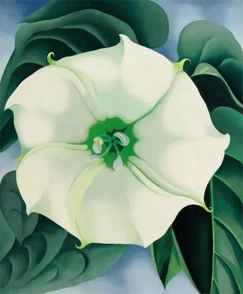 6b38edd776eb000e21b246c37cfd9fe