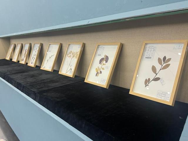 2025山西省中国画小品展开幕