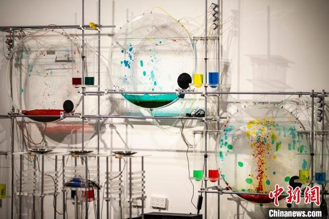 清华大学美术学院2025届本科生毕业作品展开幕