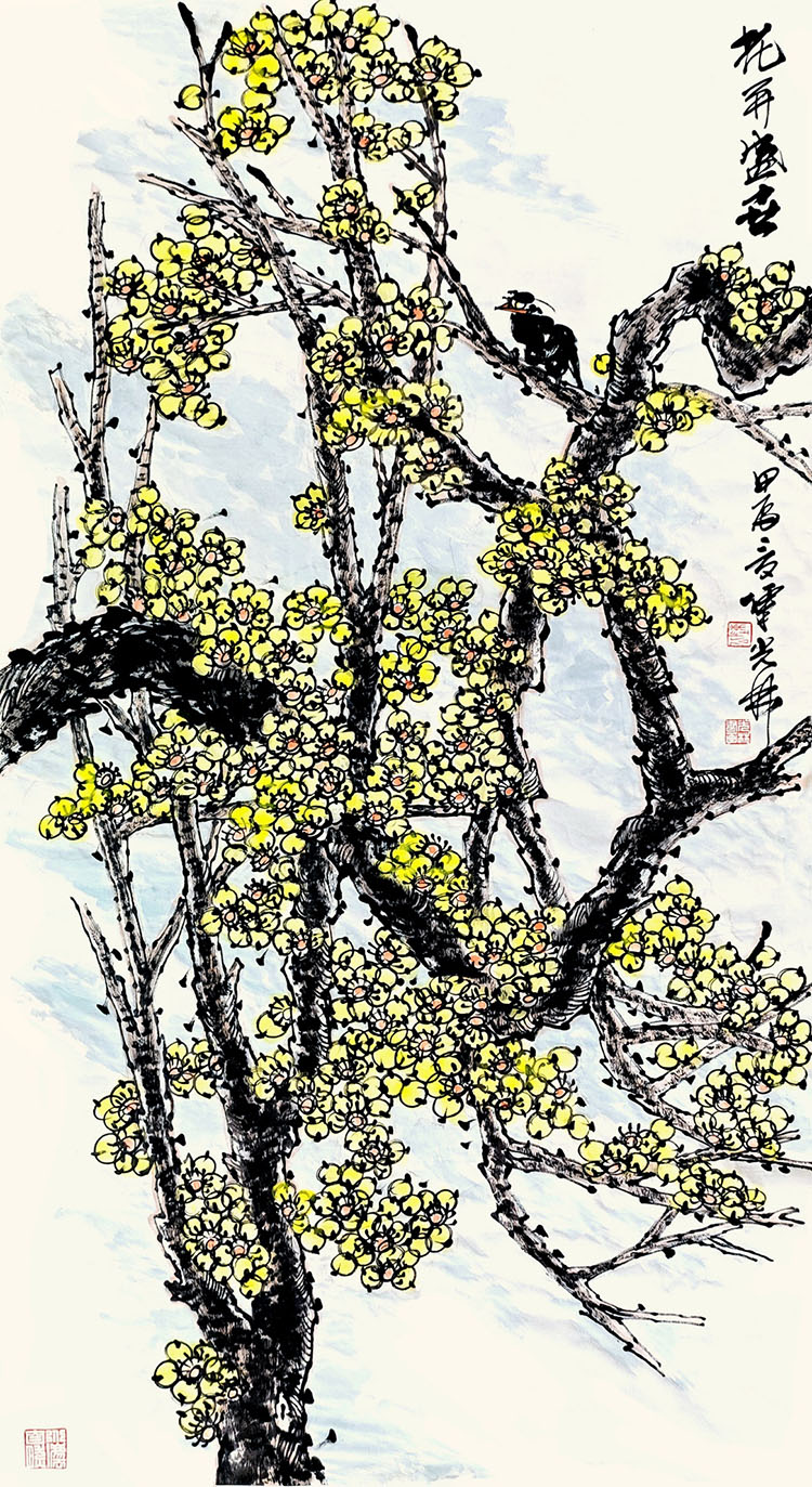 dd036trymzz05csdkc.jpg
