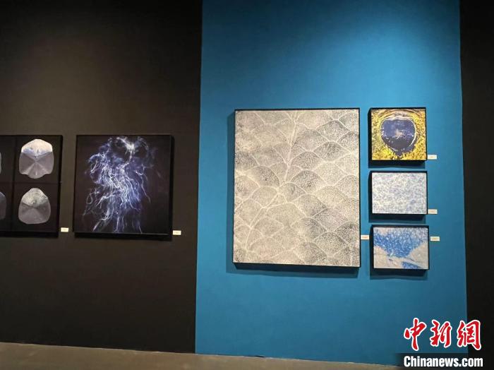 一场颠覆认知的摄影展：作品不一定是相机拍的